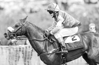 Pony Races