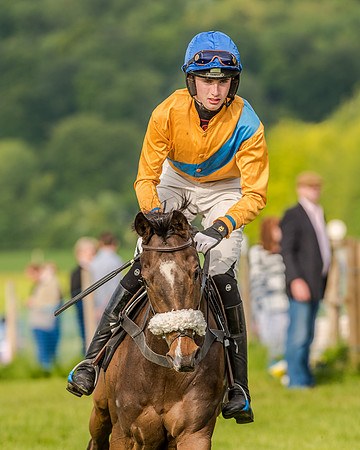 Race 7 - Div 2 - Open Maiden (43 of 163).jpg