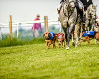 Race 8  - Hound Open Race (10 of 22).jpg