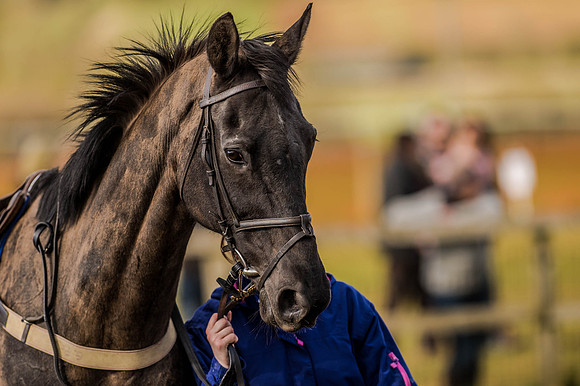 Race 7 - WMAC Members conditions [Nov-Vet] (10 of 114).jpg