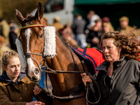 Race 5 - The Southern Grand national (6 of 96).jpg