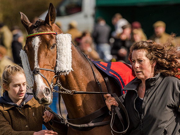 Race 5 - The Southern Grand national (6 of 96).jpg