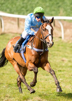 Pony Race 2  - 148cm