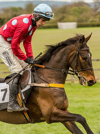 Race 3 - Young Horse maiden 2m5f (42 of 124).jpg