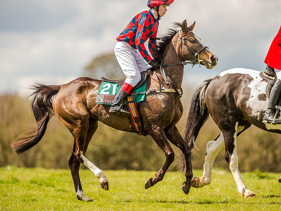 Pony Races (89 of 127).jpg