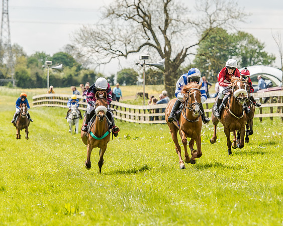 Pony Race 2 (45 of 57).jpg