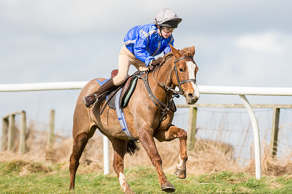Pony Race 1 - 138cm  (39 of 57).jpg