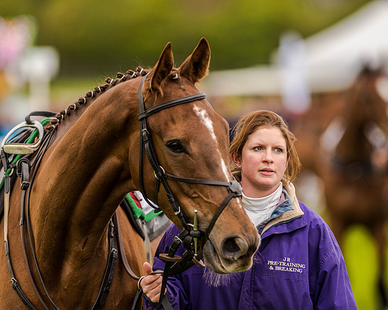 Race 2 - Open Maiden  (5 of 170).jpg