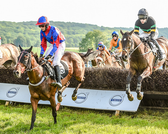 Race 7 - Div 1 - Open Maiden (56 of 94).jpg