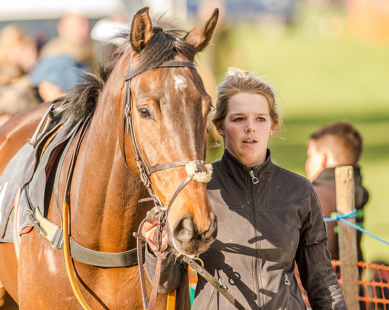 Race 6 - Open Maiden race (12 of 110).jpg