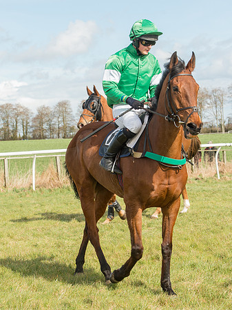 Race 2 - Confined Hunts Race (28 of 87).jpg