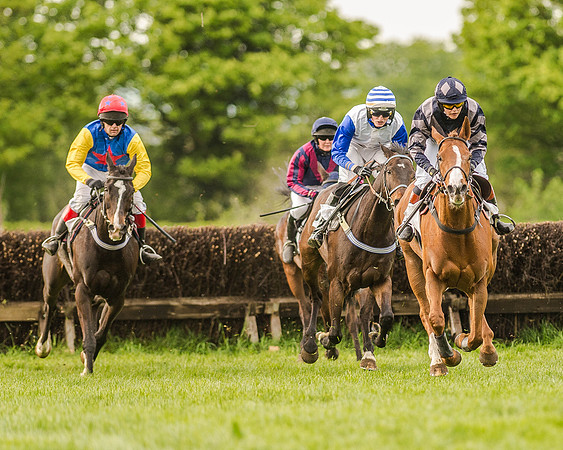 Race 7 - Hunt Members (61 of 106).jpg