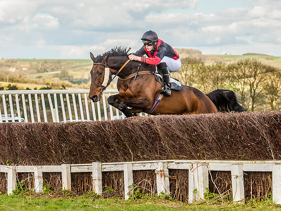 Race 6 - The Restricted Race [Nov-Vet] (39 of 84).jpg