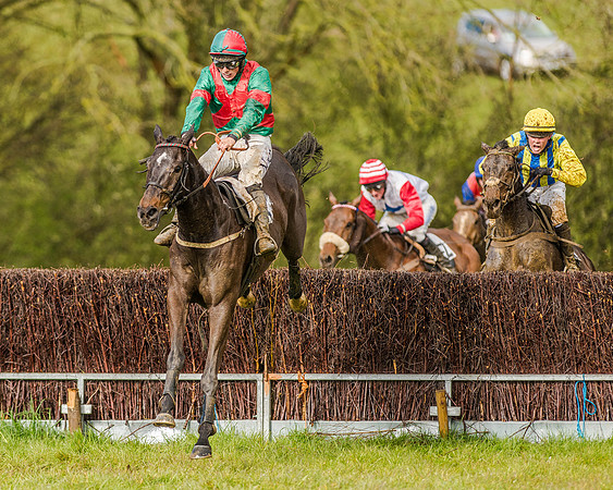 Race 5 - Open Maiden (107 of 147).jpg