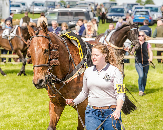 Race 4 - PPORA Novice Riders (23 of 196).jpg