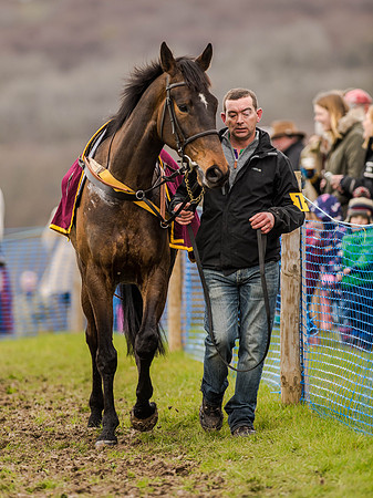 Race 3 - Young Horse maiden 2m5f (13 of 124).jpg