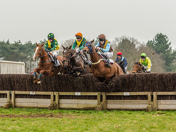 Race 5 - Open Maiden Division 2 (56 of 112).jpg