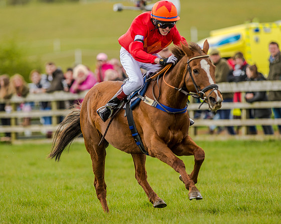 Pony Race 3 (61 of 78).jpg