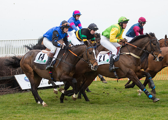 Race 7 - PPORA Novice Riders-38