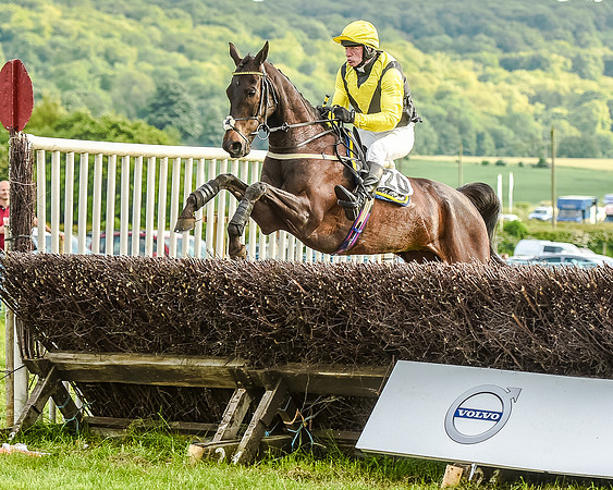 Race 7 - Div 2 - Open Maiden (96 of 163).jpg