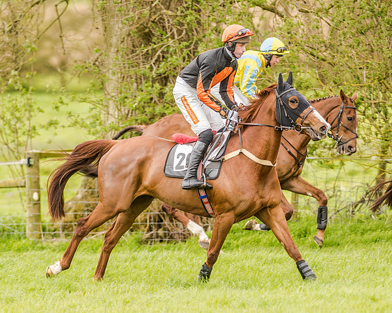 Race 2 - Open Maiden  (54 of 170).jpg