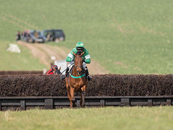 Race 2 - Confined Hunts Race (52 of 87).jpg