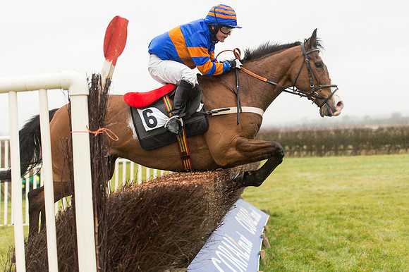 Race 1 - Confined Hunts (79 of 101).jpg