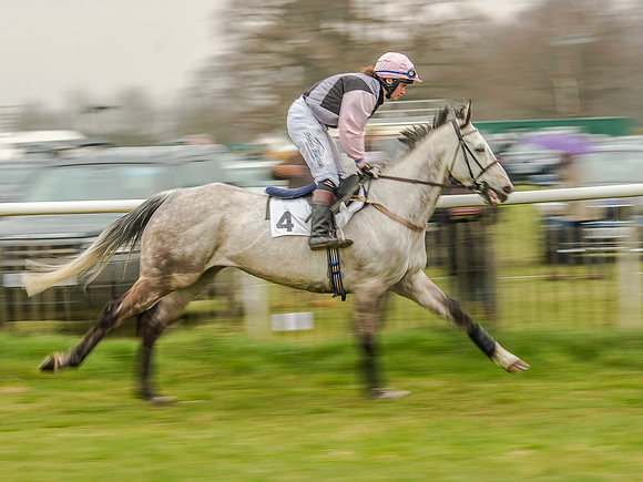 Race 5 - Open Maiden Division 2 (41 of 112).jpg