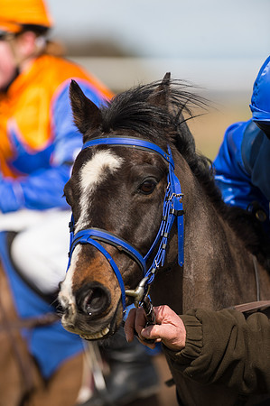 Pony Race 1 - 138cm  (53 of 57).jpg