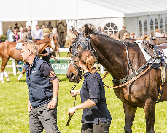 Race 4 - PPORA Novice Riders (28 of 196).jpg