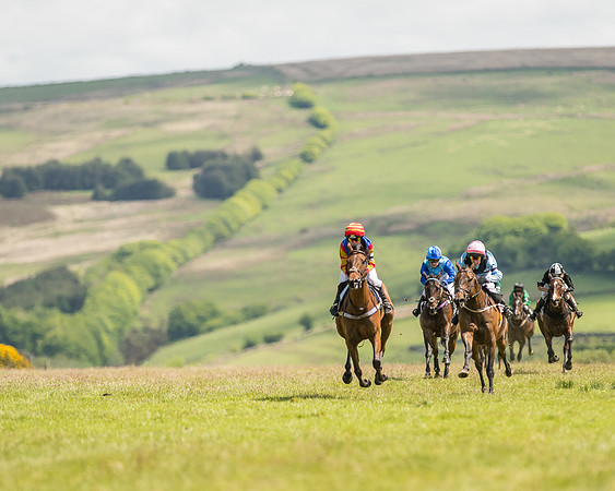 Pony Race 2  (16 of 33).jpg