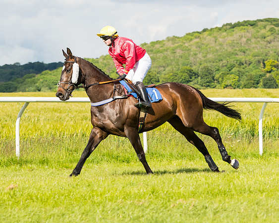 Race 5 - Restricted  (30 of 136)