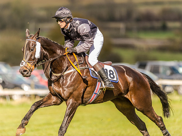 Race 4 - Ladies Open [Nov-Vet] (36 of 82).jpg