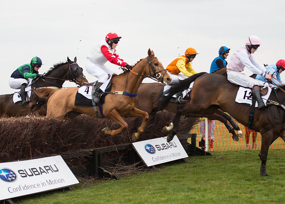 Race 6 - Confined Hunts-67