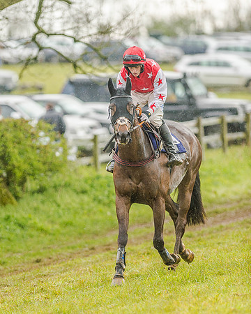 Race 5 - Open Maiden (25 of 147).jpg
