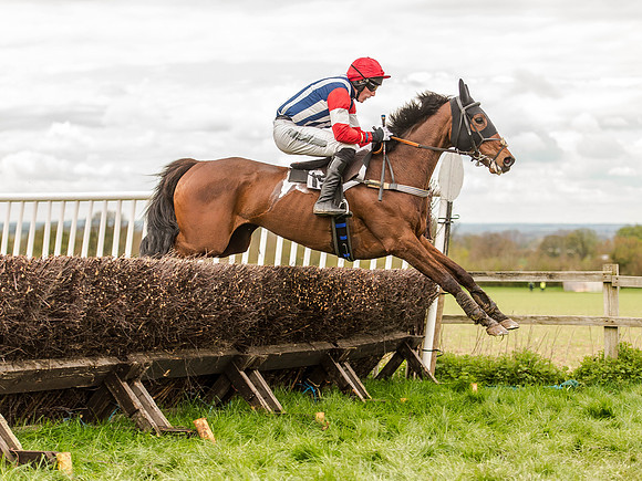 Race 3 - Young Horse maiden 2m5f (95 of 124).jpg