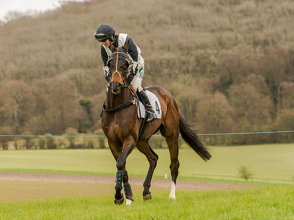 Race 3 - Young Horse maiden 2m5f (49 of 124).jpg