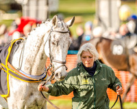 Race 6 - Open Maiden race (15 of 110).jpg