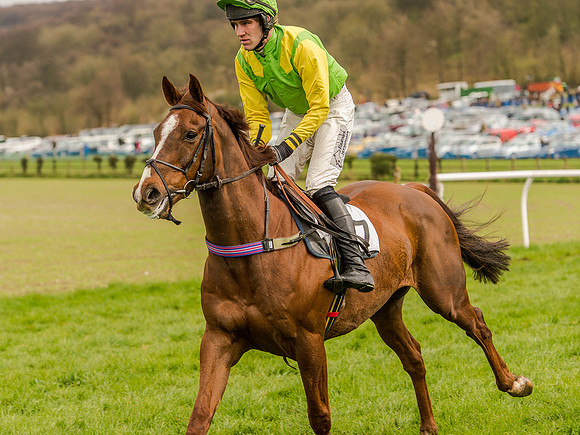 Race 1 - Confined Hunts (34 of 118).jpg