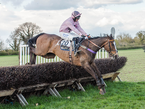 Race 6 - The Open Maiden (68 of 122).jpg