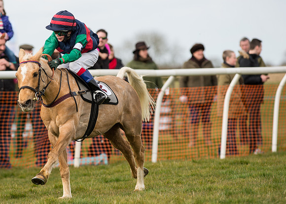 Pony Race 1 - 138cm -87