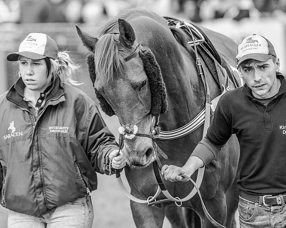 Race 3 - SEHC Members Conditions (17 of 132)-2.jpg