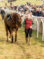 Race 5 - Restricted Race (12 of 120).jpg