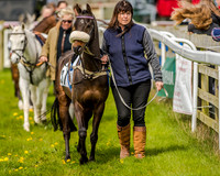 Pony Race 1  (11 of 65).jpg