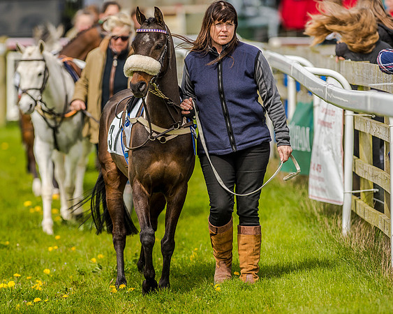 Pony Race 1  (11 of 65).jpg