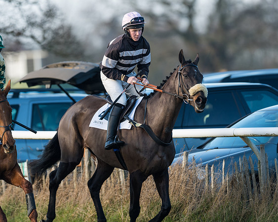 Race 2 - PPORA Novice Riders  (16 of 205)