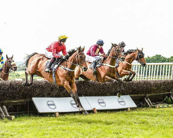 Race 2 - PPORA Members Novice Riders  (61 of 112).jpg