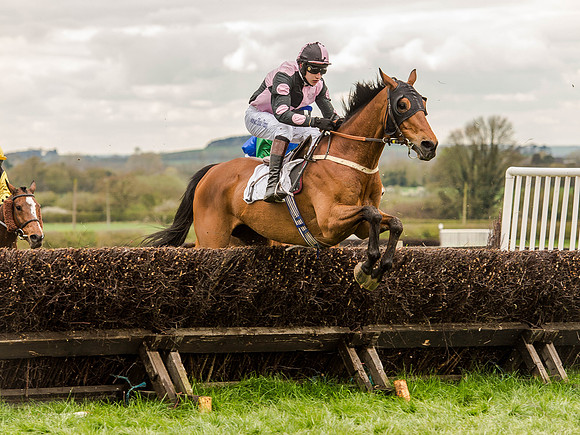 Race 2 - PPORA Club Members Conditions 2m5f (76 of 137).jpg