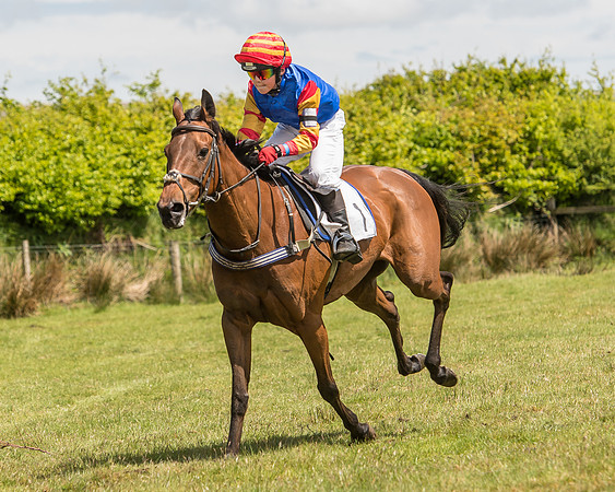 Pony Race 2  (7 of 33).jpg