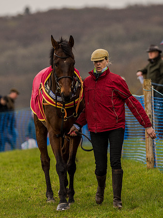 Race 1 - Confined Hunts (3 of 118).jpg